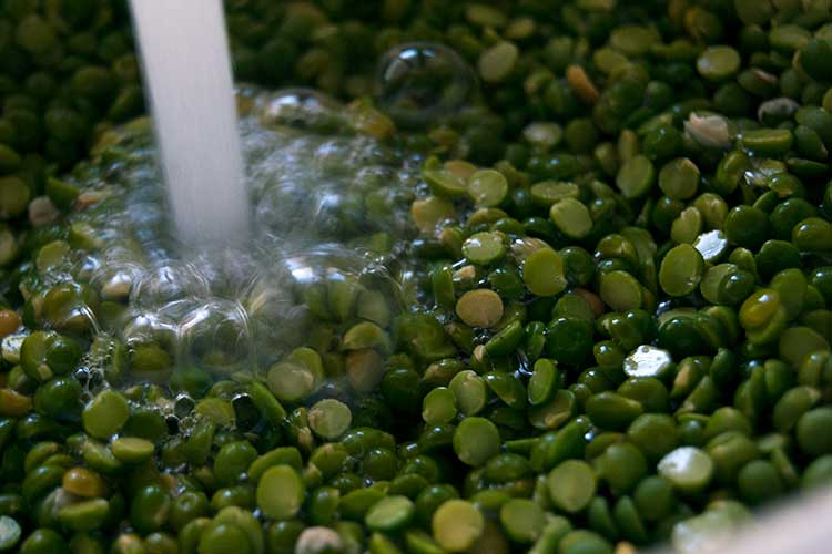 053-water-peas